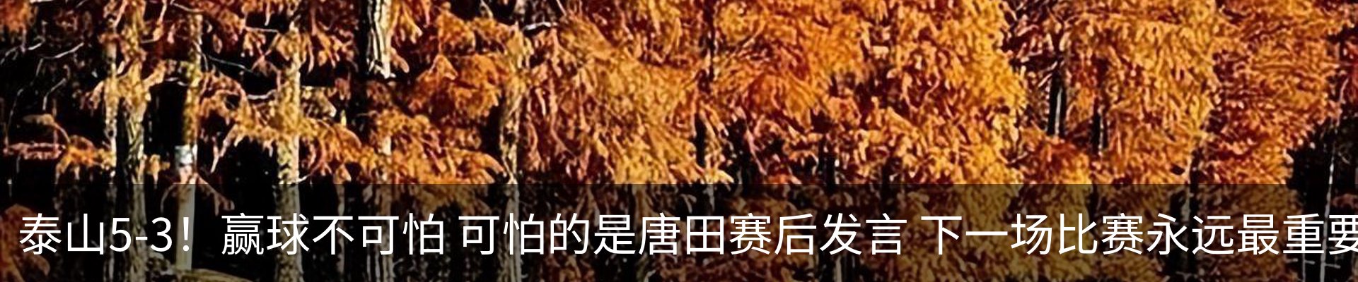 内页banner